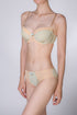 Rosa Petal Dunes Briefs